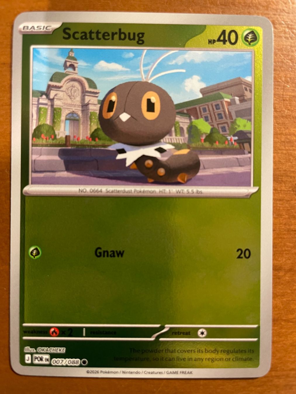 Pokémon Carte collezionabili: Pokemon Scatterbug Reverse (Versand gratis) – Nuovo (secondo la descrizione) da Chur venduto da Angerson