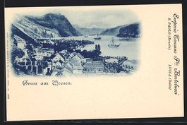 AK Weesen, Blick auf Ort und See