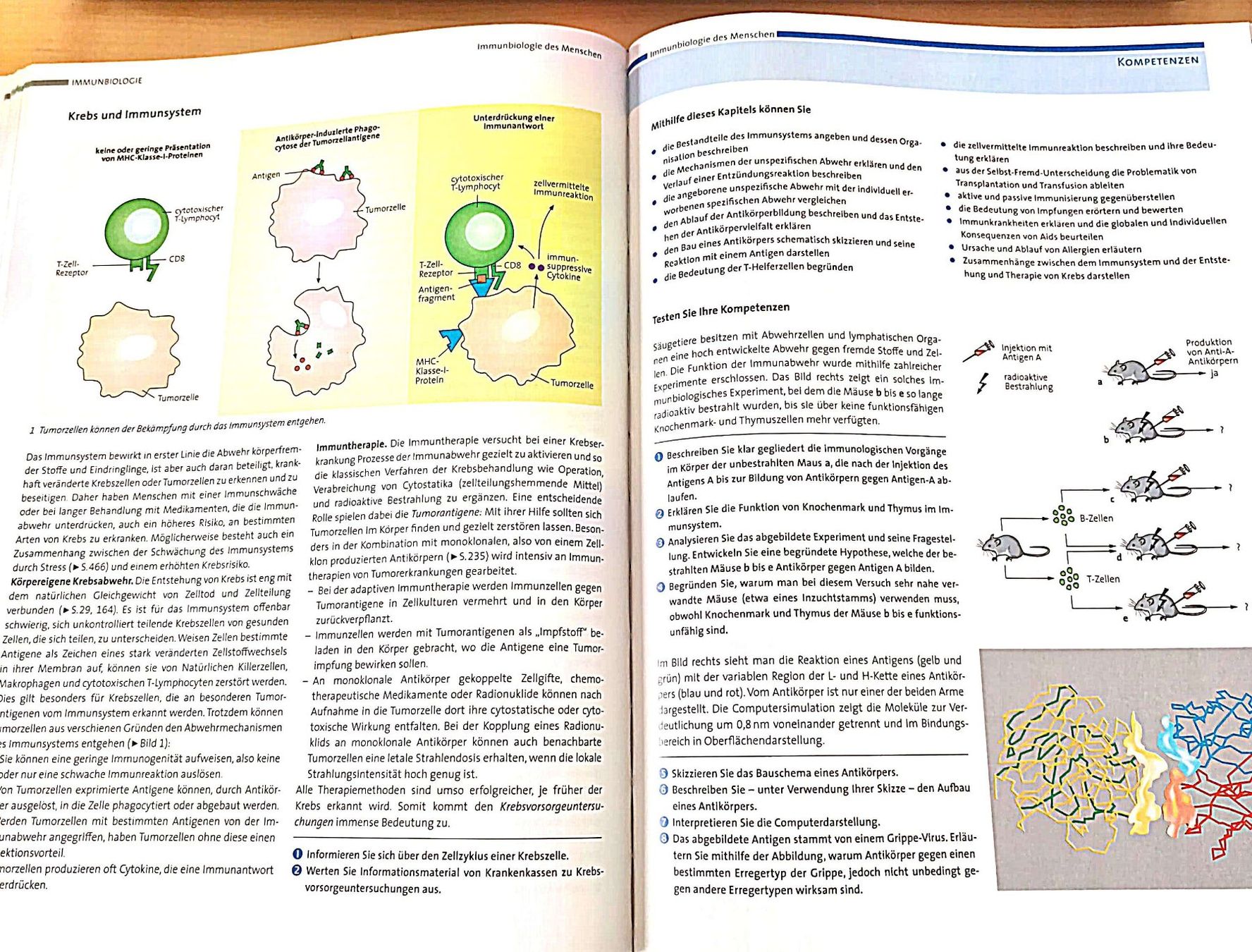 Libri: Biologie Oberstufe – Usato da Zürich venduto da Willy123456 2