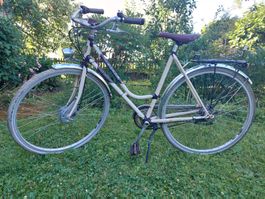 Bike, Bahnhofvelo Mustang