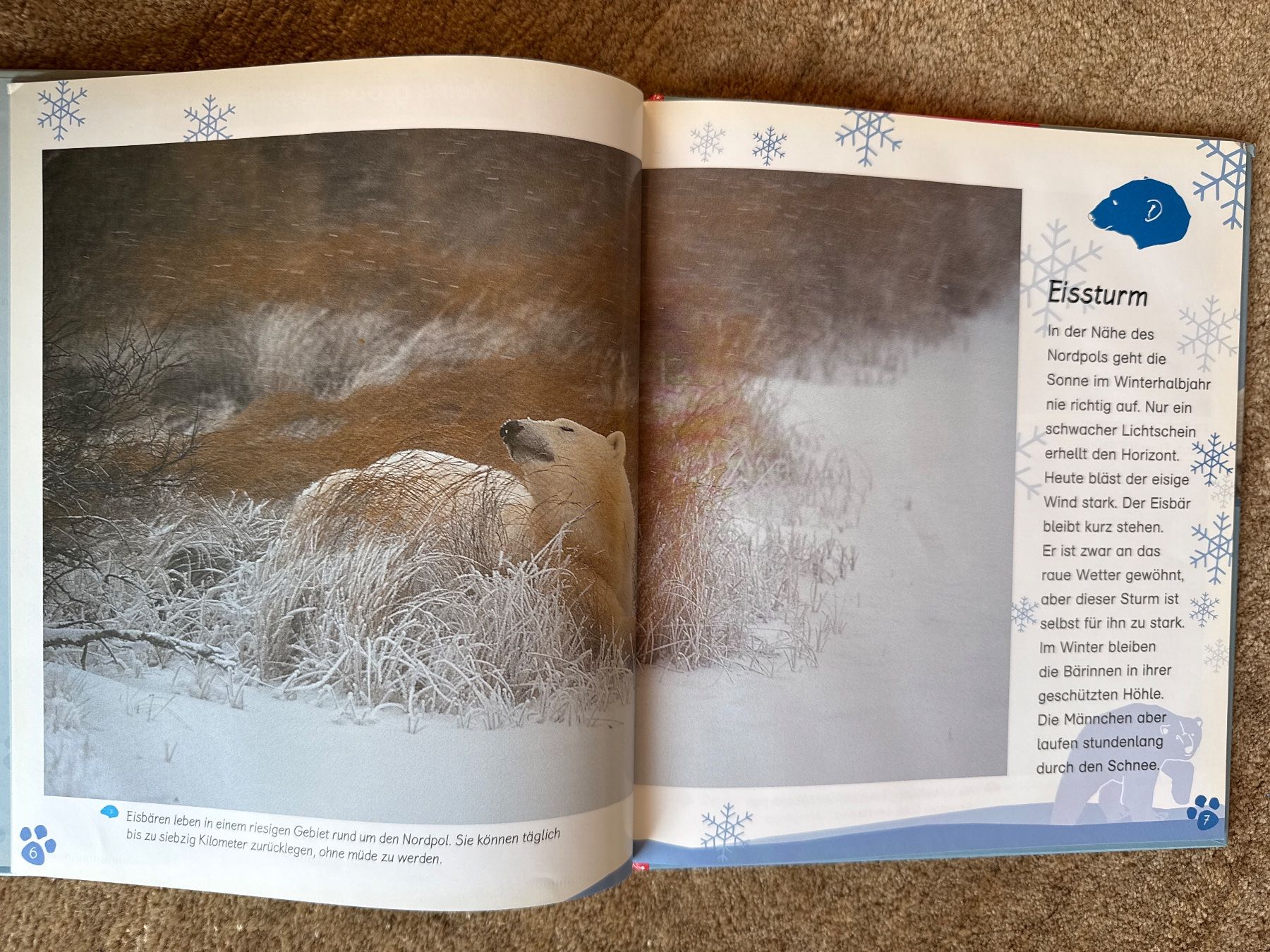 Libri: Der Eisbär - Meine grosse Tierbibliothek - esslinger – Usato da Aarau venduto da Kilauea 1