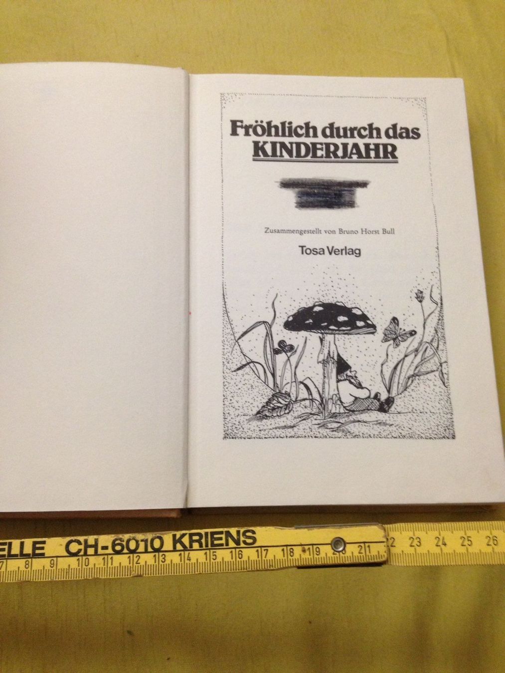 Libri: Buch "Fröhlich durch das Kinderjahr – Usato da Siegershausen venduto da Bubsi83 2