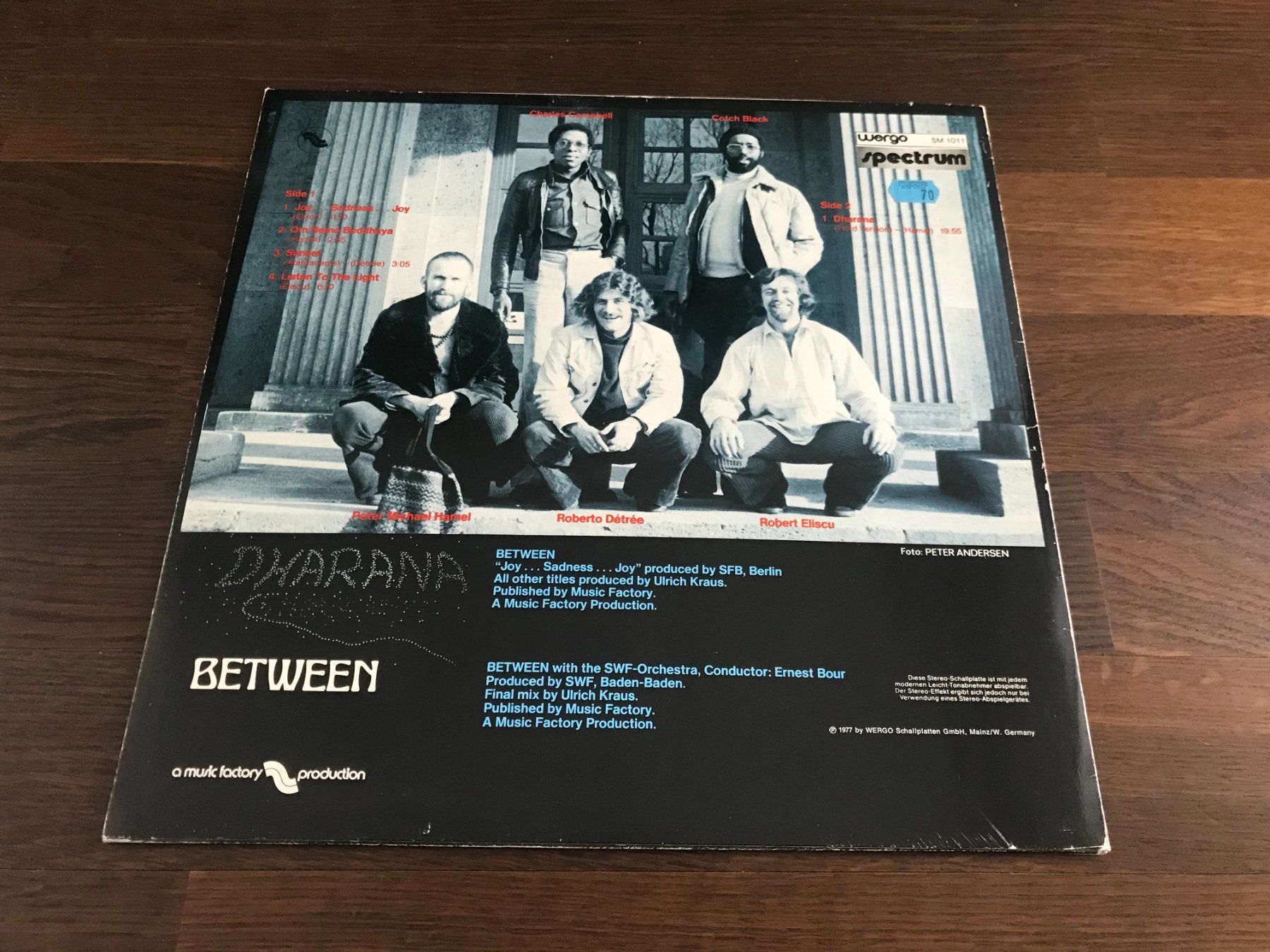 Schallplatten: BETWEEN / Peter Michael Hamel - Dharana - Wergo - Krautrock – Gebraucht aus Buchs AG von Archie 1