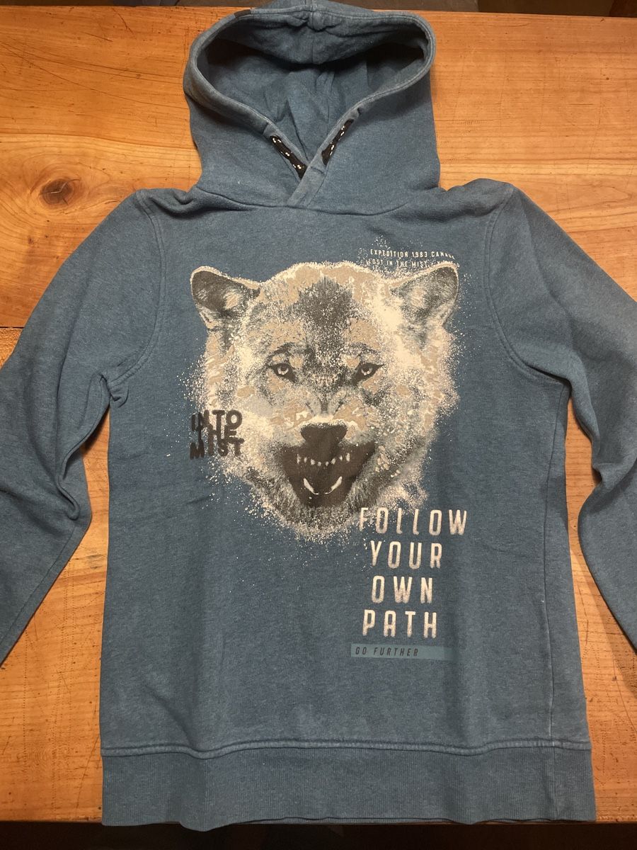 C&A Maglioni & Felpe: Blauer Wolf Hoodie Gr. 146/152 – Usato da Bonstetten venduto da soleillle