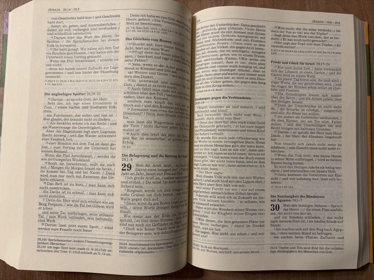 Libri: Die Bibel mit Redensarten Einheitsübersetzung gebraucht – Usato da Malters venduto da Brianna01 4