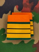 Schulterpatten Ord. 1949 Oberst aus Infanterie Set