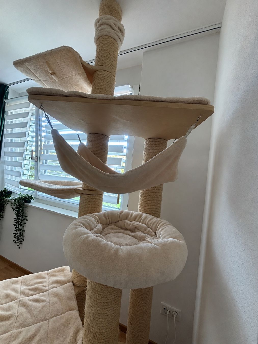 Tiragraffi: Katzenbaum Deckenspanner XL – Usato da Zug venduto da sanela87 2