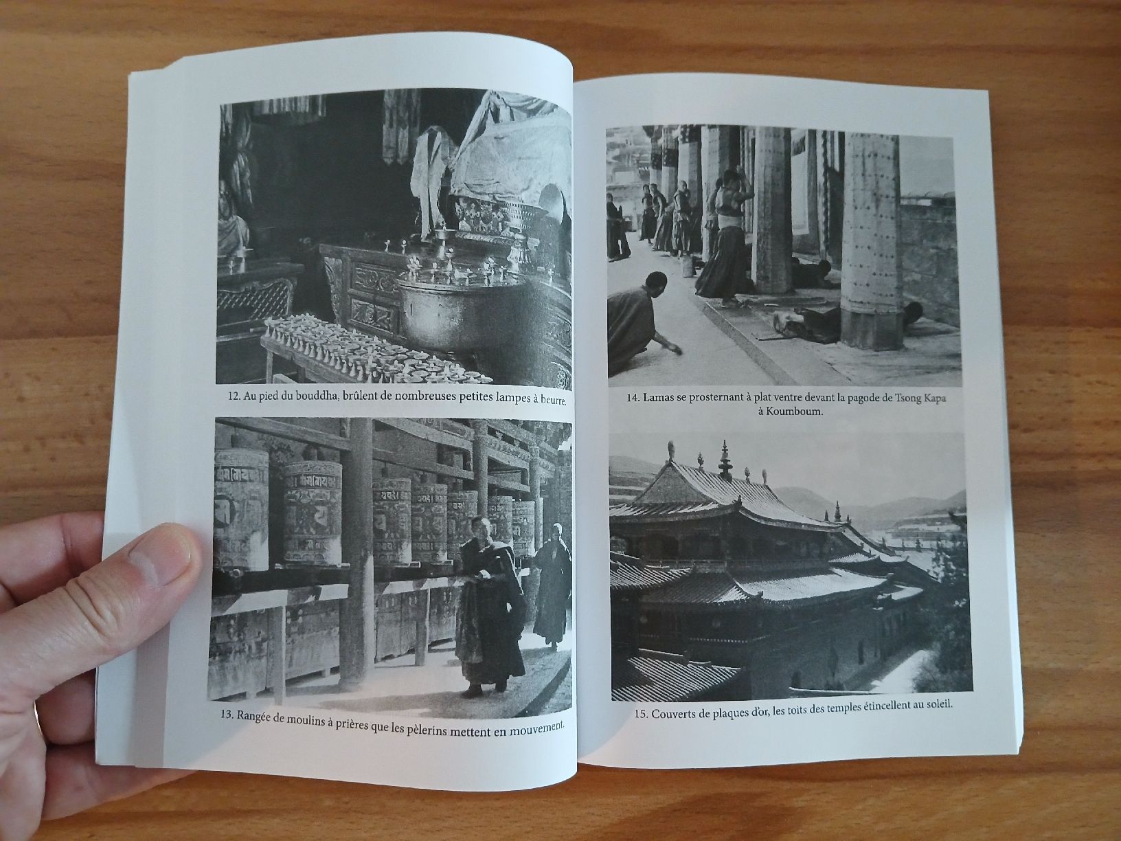 Libri: Oasis Interdites par Ella Maillart, état neuf – Usato da Le Sentier venduto da arc_2thy 3