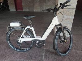Ebike Riese und Partner