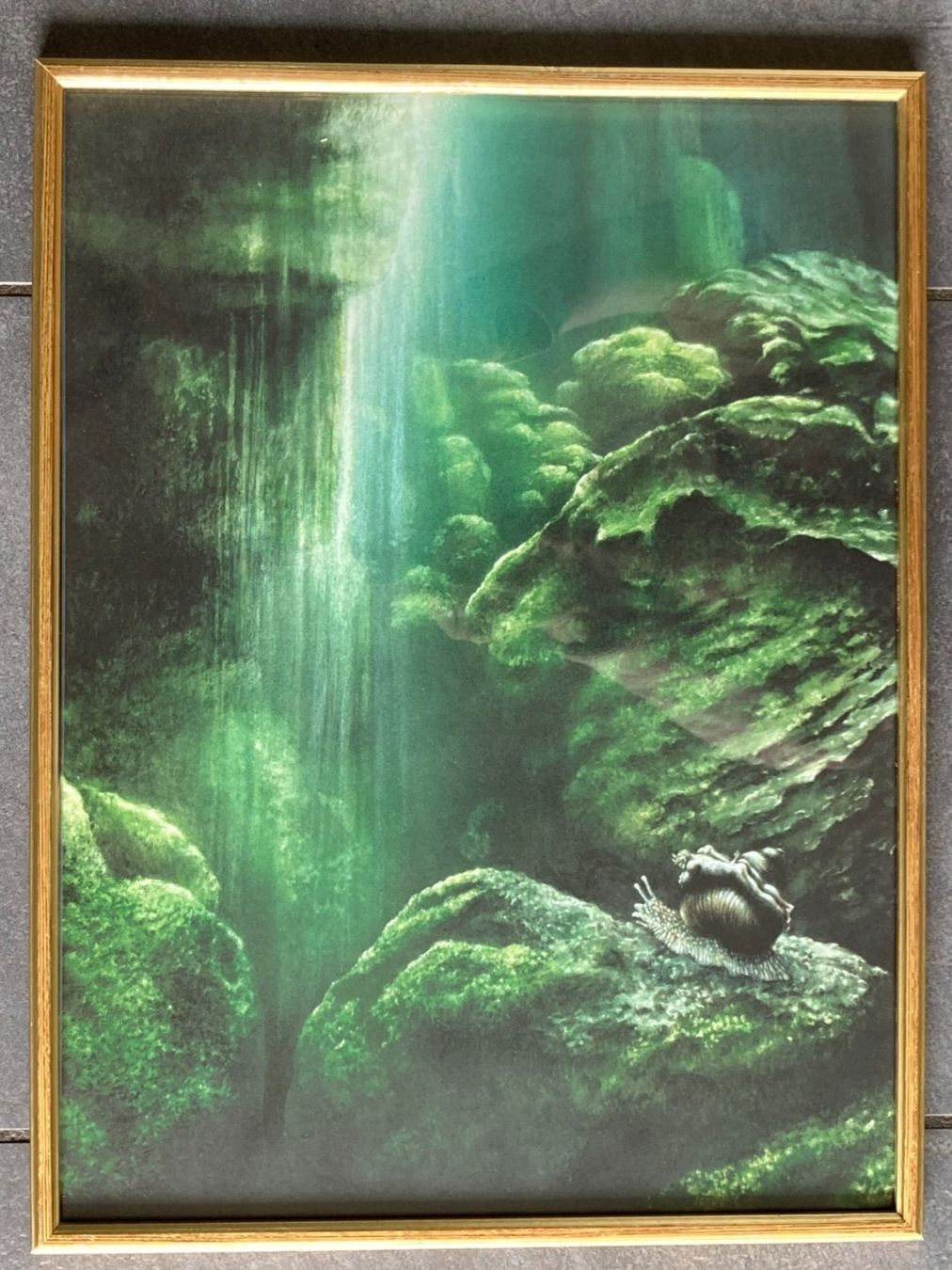 Foto & Immagini: FRIEDRICH  HECHELMANN   Schnecke /  Kunstdruck von Gemälde – Usato da Subingen venduto da ArtBead 2