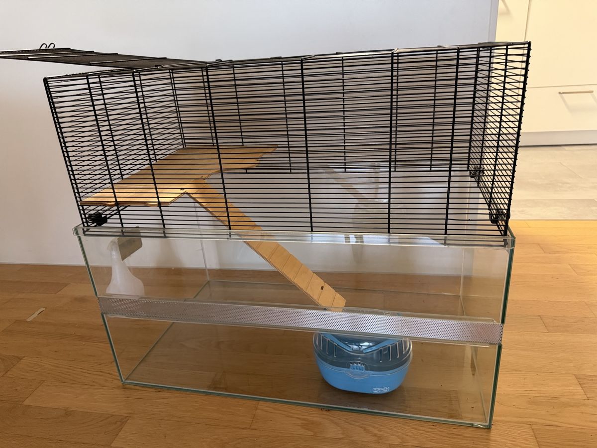 Käfige, Transport & Sicherheit: Hamsterkäfig – Gebraucht aus Thun von ben_xl2n