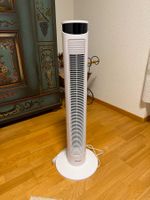 INTERTRONIC Turmventilator