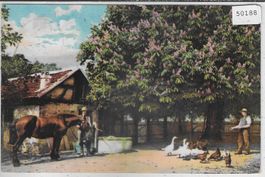 Bauernhof mit Pferd - animee