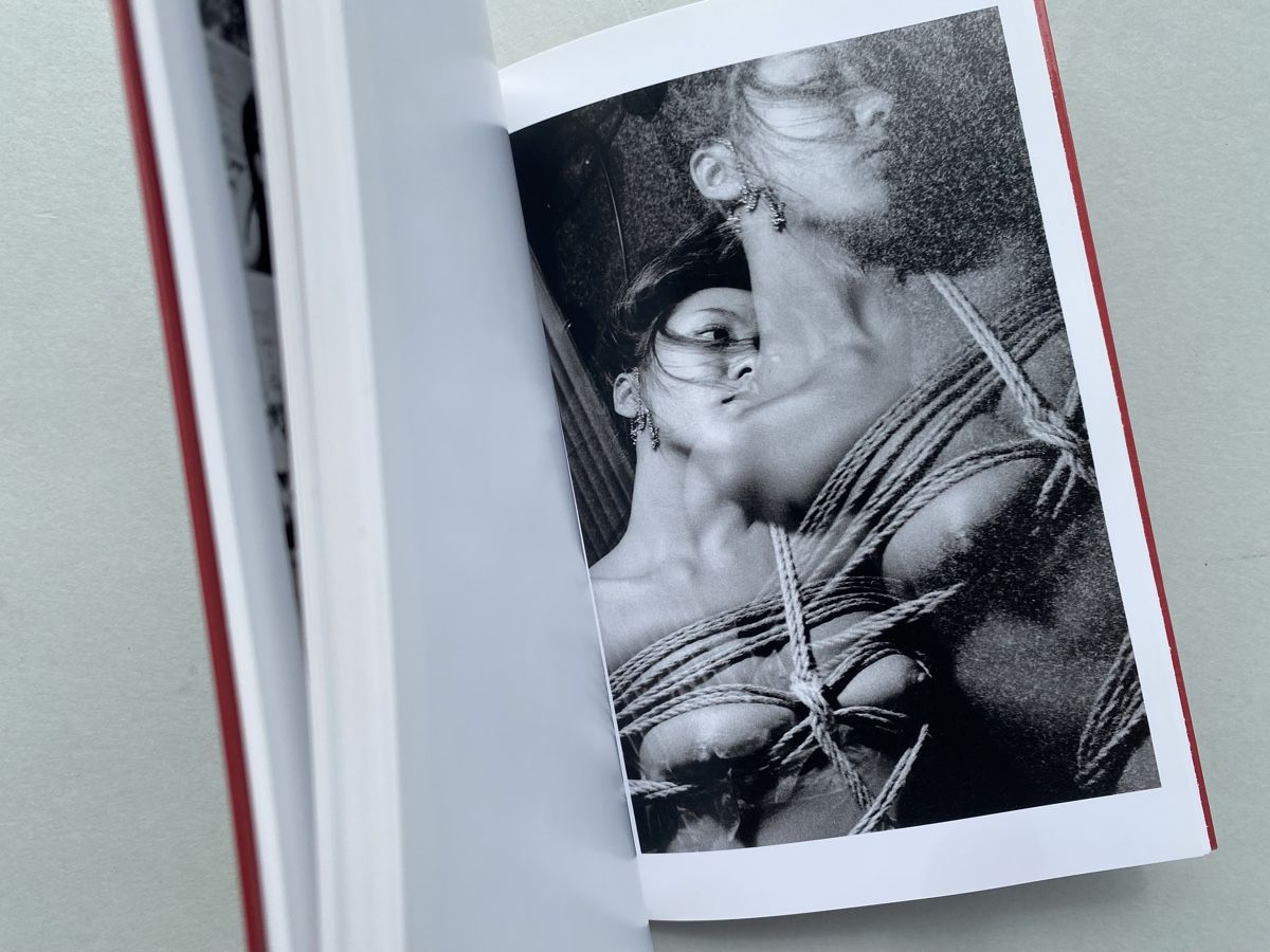 Bücher: Araki - Explore Provocative Japanese Photography! – Gebraucht aus Zürich von lesgarcons 2