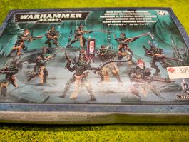 Warhammer 40k, Kabalite Warriors Drukhari Dark Eldar