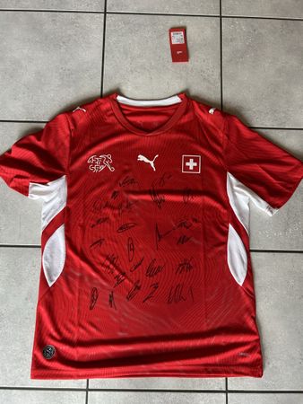 Originales Nationaltrikot der Schweiz von der WM 26 / L