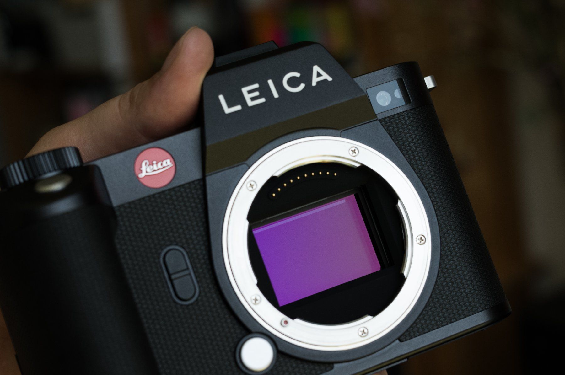 Leica Fotocamera: Leica SL2, Zustand A+ – Usato da Ballwil venduto da Nicolassellings 5