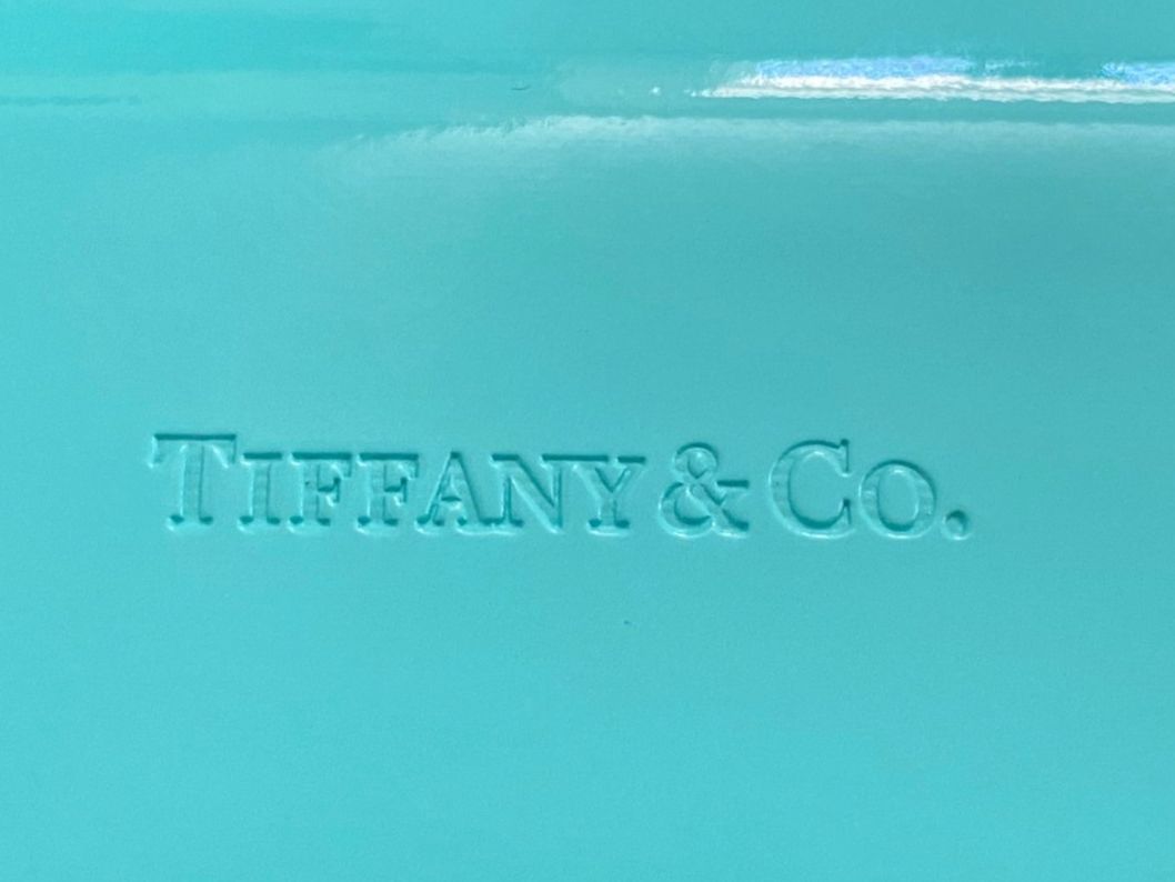 Altro in  Abbigliamento & Accessori: Brillenetui von Tiffany & Co. inkl. Karton – Usato da Aarau venduto da radilio01 3