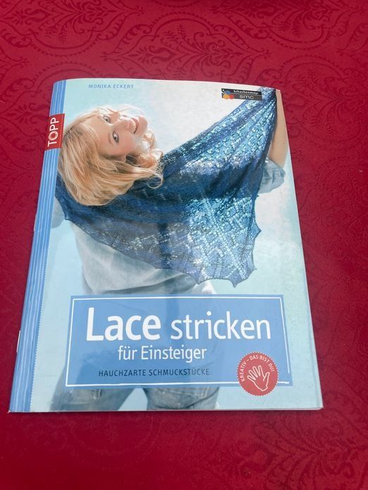 Bücher: Lace stricken für Einsteiger - Topp - M. Eckert – Gebraucht aus Bergdietikon von Book-4-you_2nd