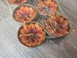 Kerzen | 10x Sonnenblumen Teelichter