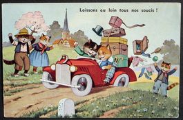 5 KATZEN - 2 Katzen im Auto