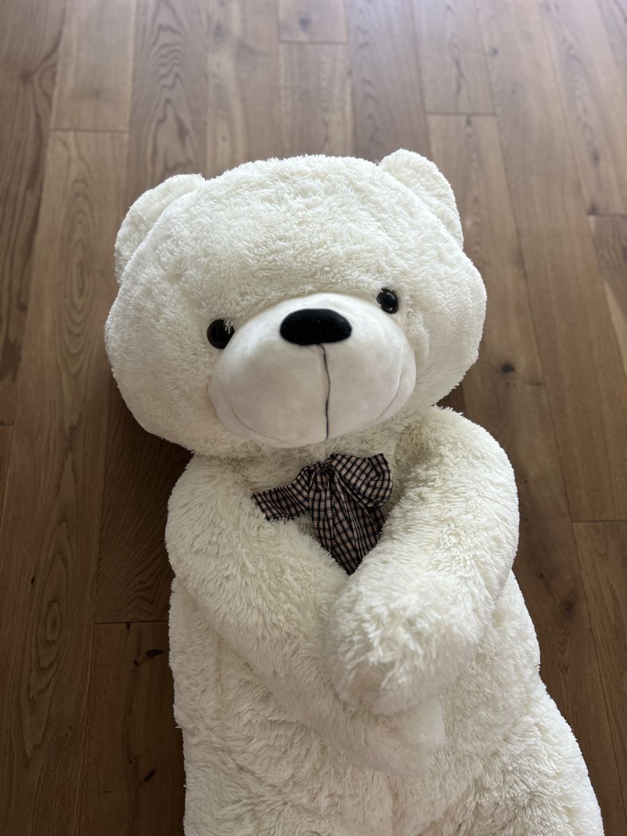 Spielzeuge: 145cm grosser Teddybär weiss – Neu und originalverpackt aus Gelfingen von Diana_Tall 1
