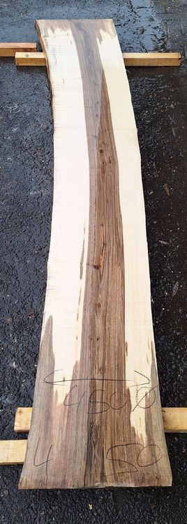 Articoli in legno: Nussbaumbrett 50mm – Nuovo (secondo la descrizione) da Waldkirch venduto da bauprofi87 1