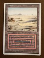 MTG Badlands (FWB) Deutsch – TOP Zustand (EX) – Reserved 
