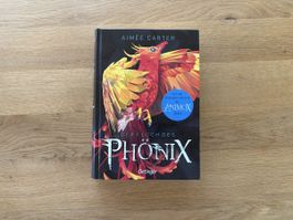 Der Fluch des Phönix von Aimée Carter