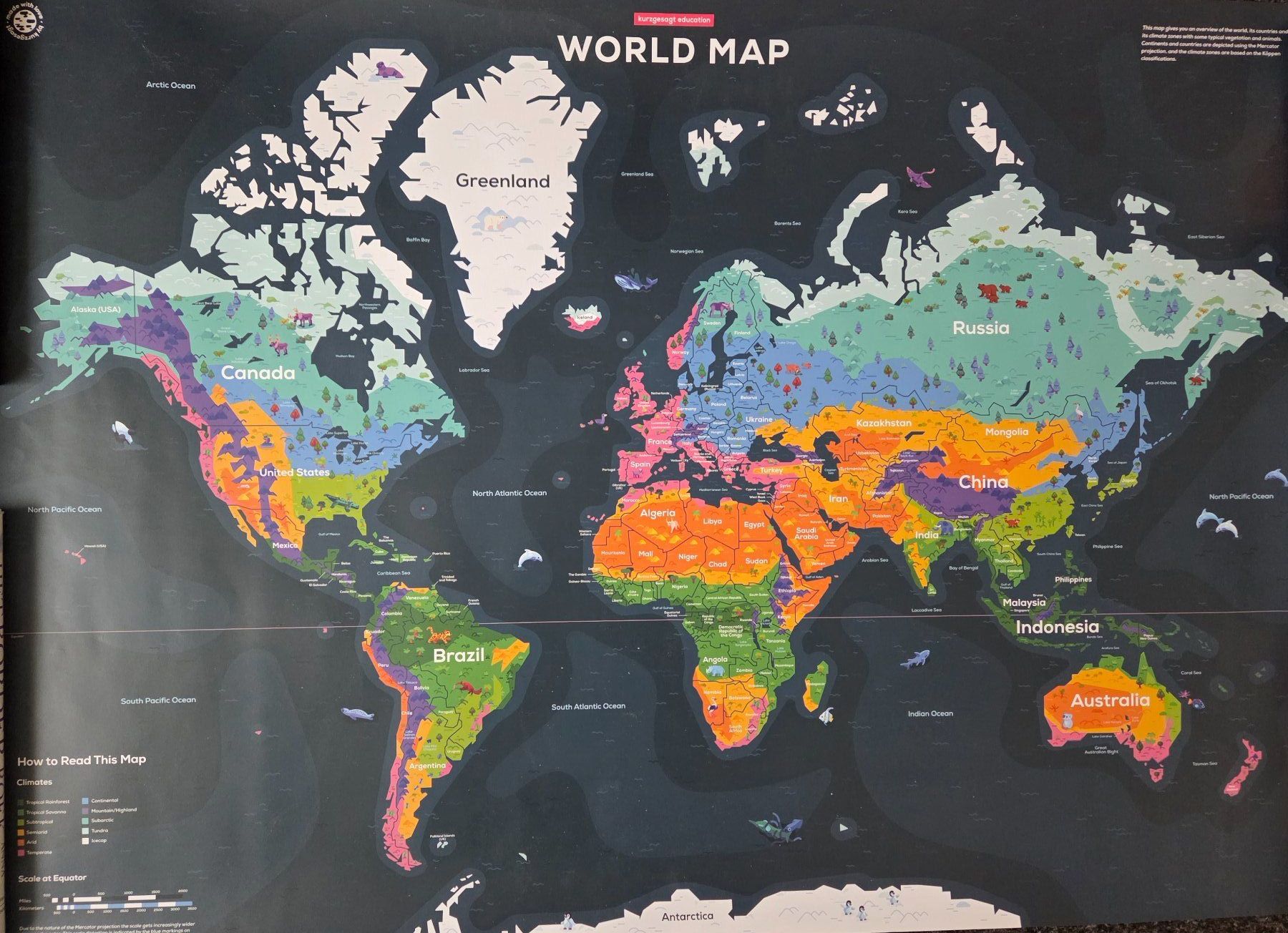 Foto & Immagini: Diverse Poster von "Kurzgesagt" – Nuovo (secondo la descrizione) da Worben venduto da Zbiki 5