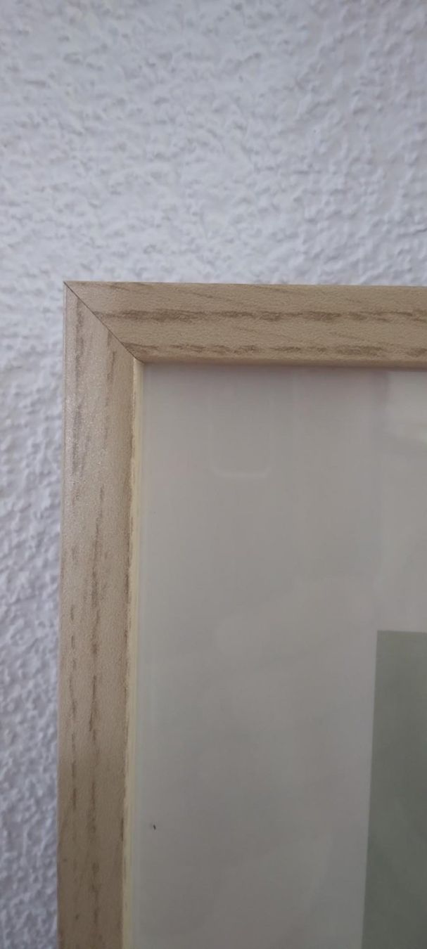 Foto & Immagini: Blumenbild mit Holzrahmen – Nuovo (secondo la descrizione) da Würenlos venduto da Esmeralda74 4