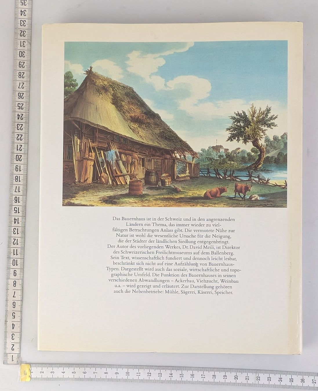 Libri: Kleinode der Schweiz - Schweizer Bauernhäuser, Top ! – Usato da Zürich venduto da axolottchen 1
