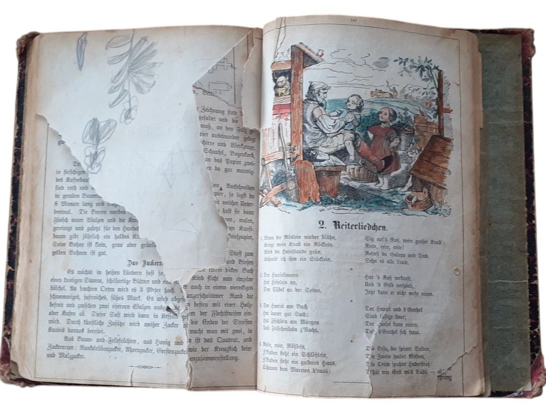 Libri: J. Staub Kinderbuch 1880 – Usato da Mörschwil venduto da lindaswunderkiste 5