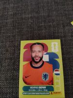 panini NED 17