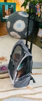 Génial trolley à roulettes et sac à dos pour transport chien