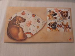 Enveloppe illustrée + timbres Afrique du Sud chiens 2004 !