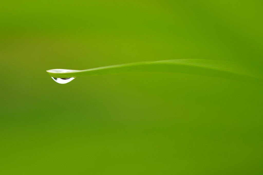 Foto & Immagini: Wassertropfen Alu-Dibond 40x60 cm – Nuovo (secondo la descrizione) da Lohn-Ammannsegg venduto da 1monika