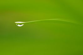 Wassertropfen Alu-Dibond 40x60 cm