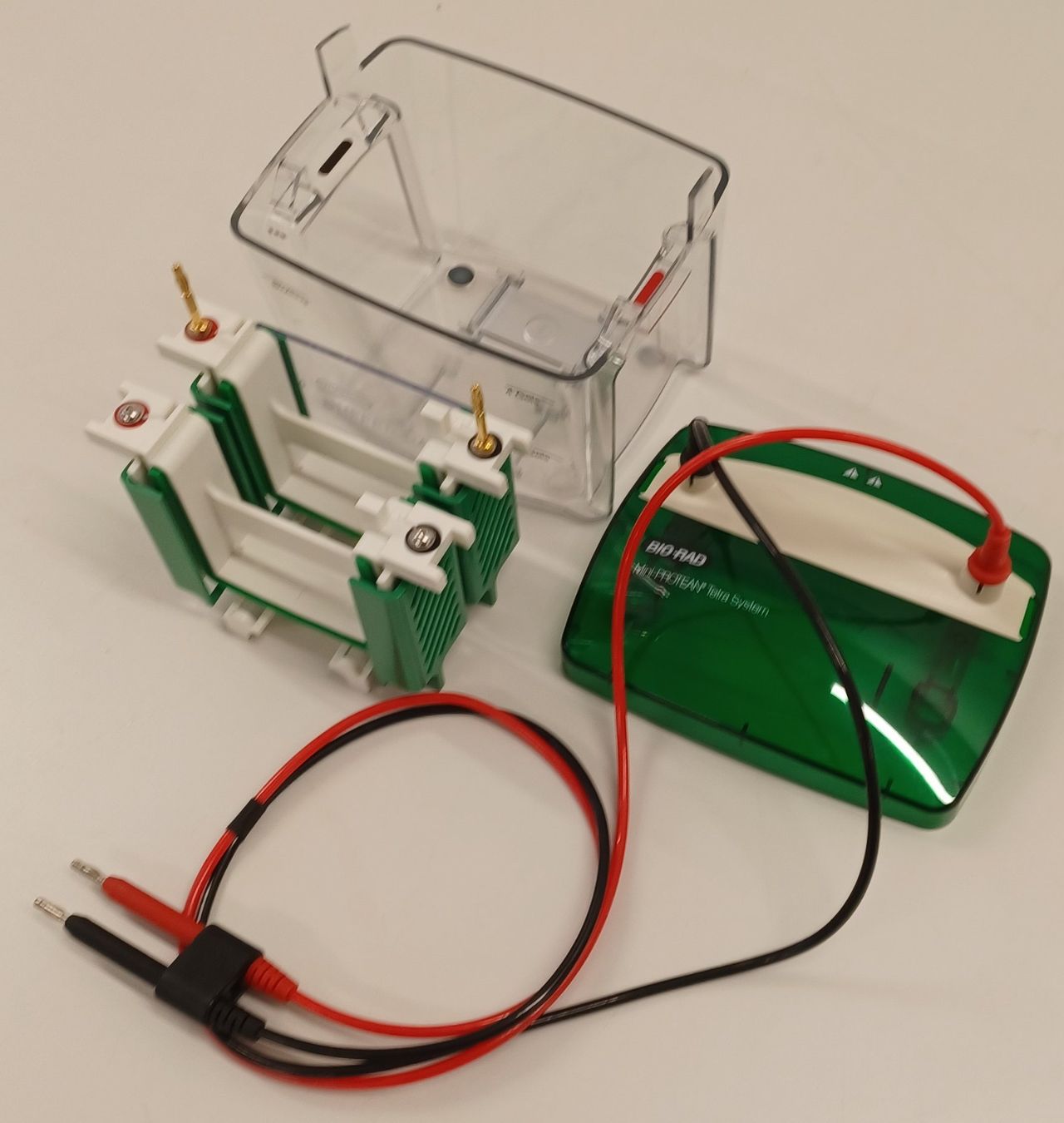 Accessori da laboratorio: Bio-Rad Mini PROTEAN Tetra Cell – Difettoso da Niederdorf venduto da LeptonAG_Labor 3