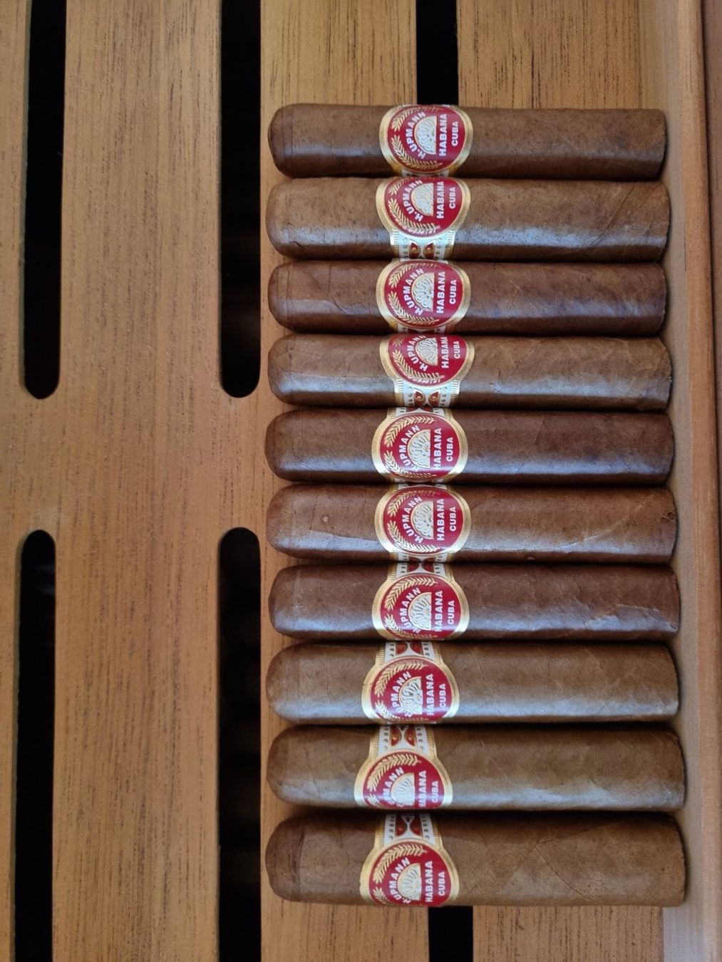 Trinidad Sigari: Kuba-Zigarrensammlung – Nuovo e nell'imballaggio originale da Dornach venduto da DIY-King 4