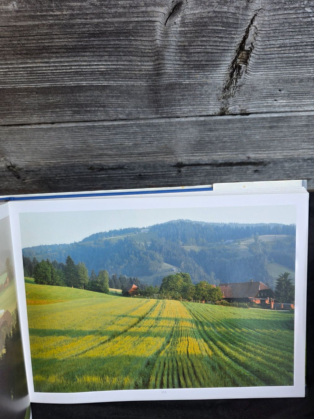 Libri: Buch – Usato da Mörigen venduto da Sandra_z 2