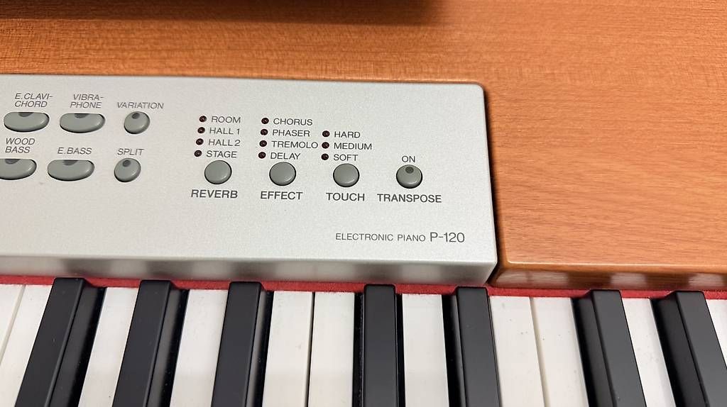 Yamaha Strumenti musicali: Yamaha P-120 Digital Piano – Usato da Rüti ZH venduto da nazaruch1 1