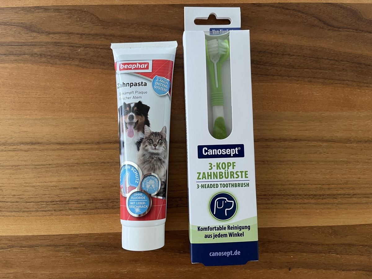 Zahnpflege: NEU - Hundezahnbürste und Zahnpasta – Neu und originalverpackt aus Ruswil von silver06
