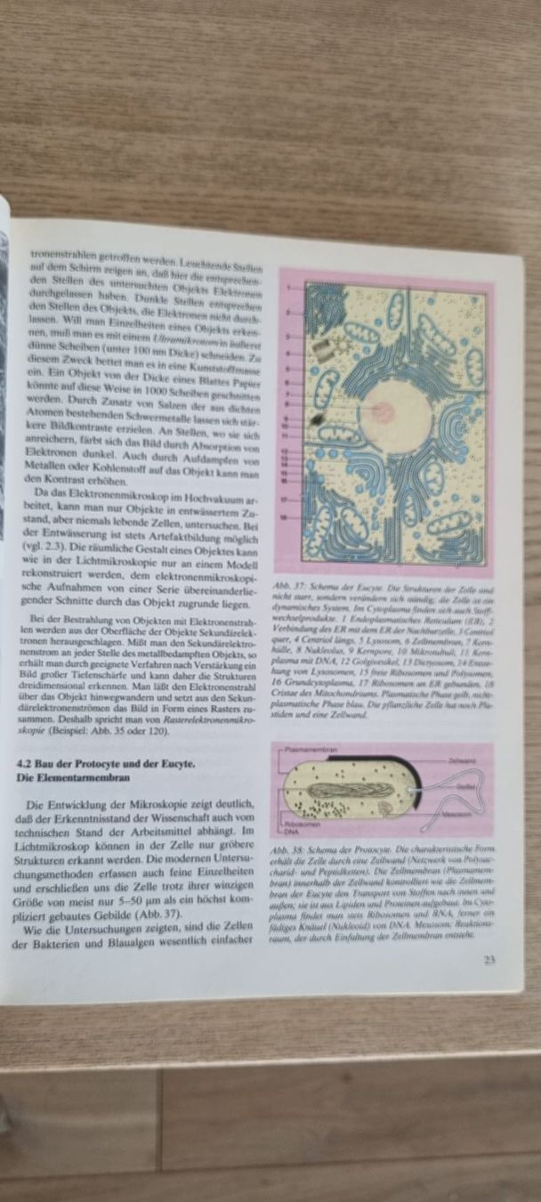 Libri: Biologie Linder - J.B. Metzler – Usato da Spiegel b. Bern venduto da sus_xj97 6