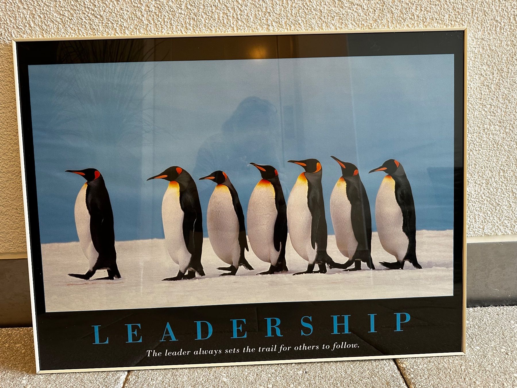 Foto & Immagini: Bild mit Rahmen Pinguine Leadership – Usato da Wangen SZ venduto da futura14