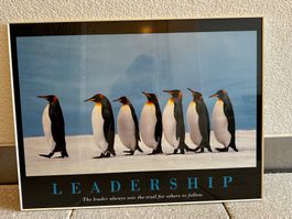 Bild mit Rahmen Pinguine Leadership