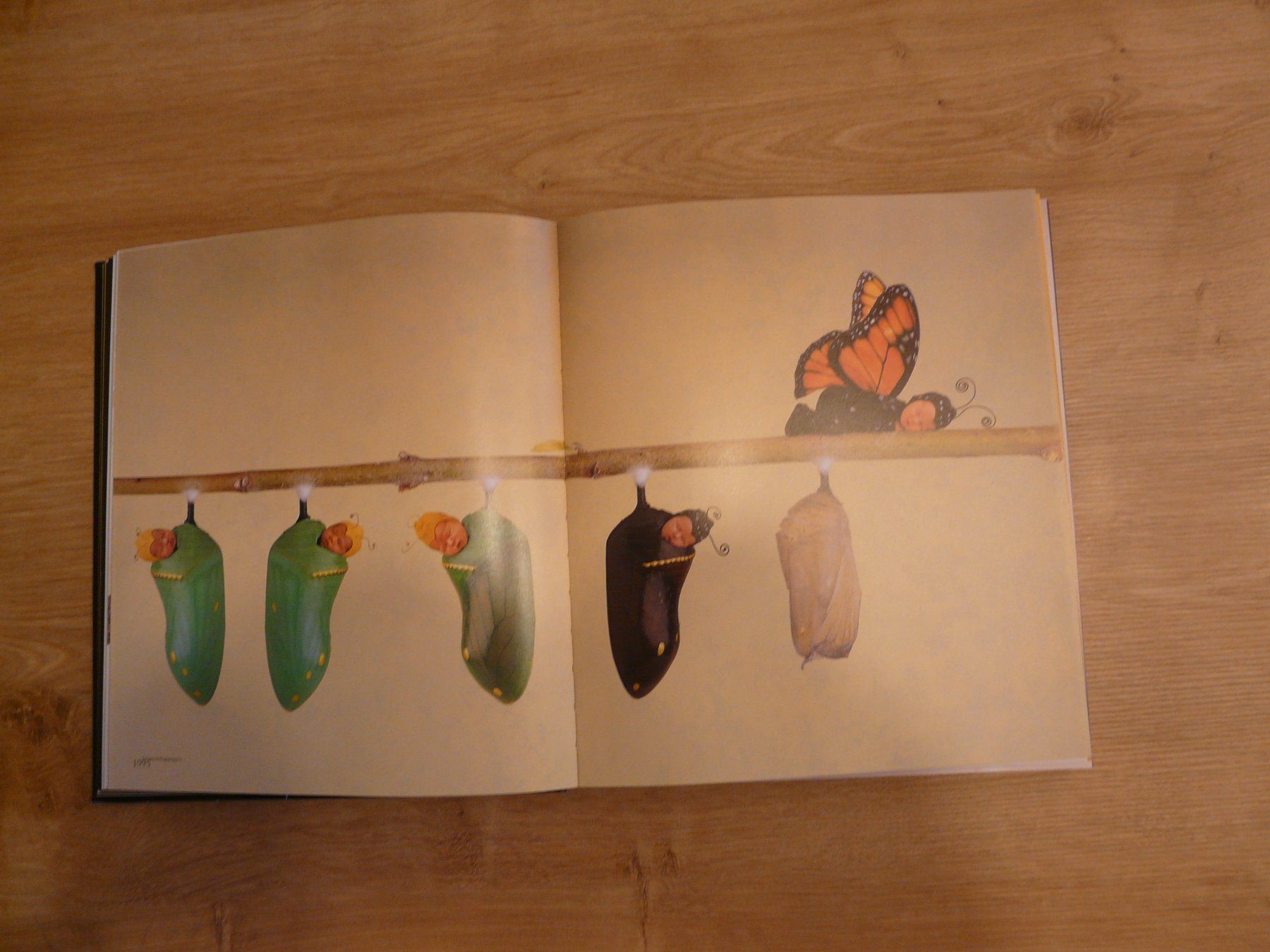 Libri: Buch Will Kommen Anne Geddes – Usato da ERLINSBACH venduto da doudouce 2