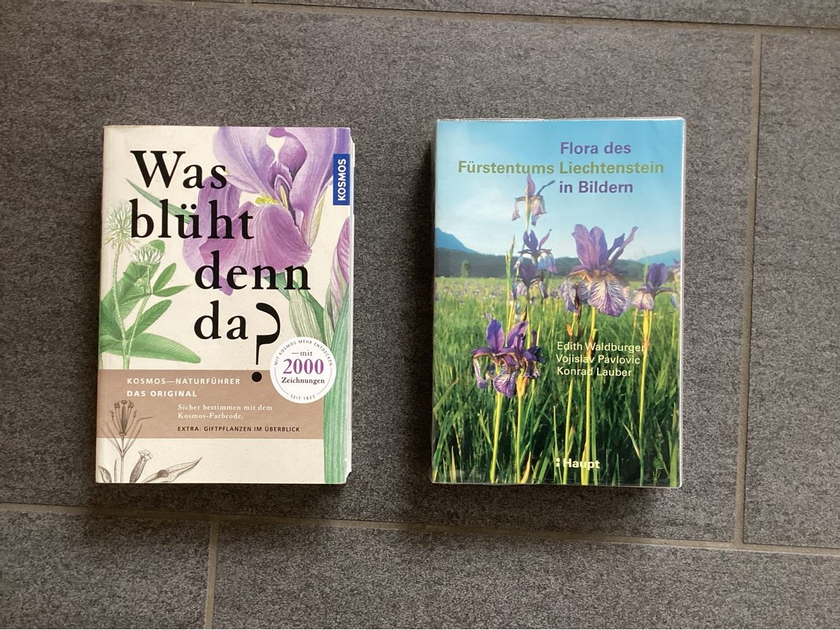 Bücher: Pflanzenbücher, Was blüht denn da – Gebraucht aus Plons von Tschugi140