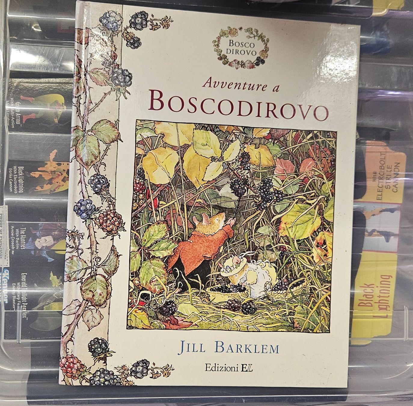 Bücher: Libro "Avventure a Boscodirovo" – Gebraucht aus Melano von H-Sara