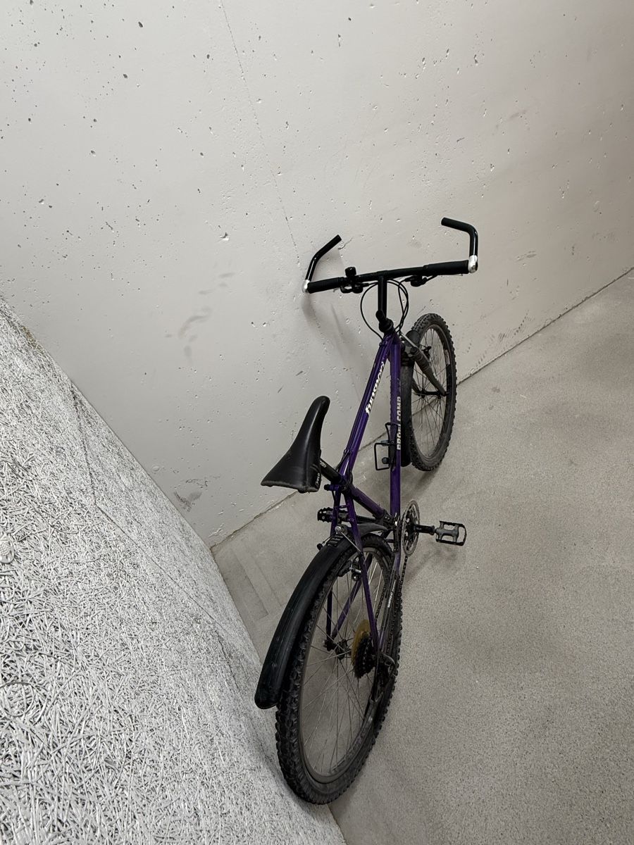 Biciclette: Fahrrad / Velo – Usato da Dübendorf venduto da Cztephan 5